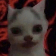 Evan