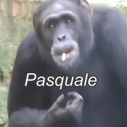 Pasquale il Calabrese