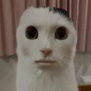 -=6u6LiK=-