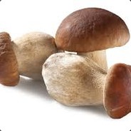 Grzech Us