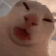 Smelly Cat