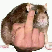 Carlão ratão
