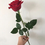 Сексуалды сипат