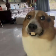 ßluebeℝℝψ
