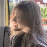 韩菲