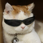✦Maverick✦