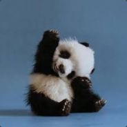 LittlePandas02
