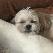 juxie