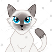 Siamese`Cat