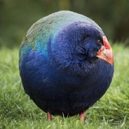 Fluffsluffs