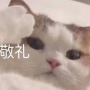 长风所及