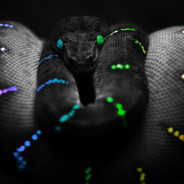 GG3CO | SnakeMaster