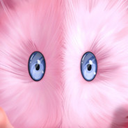 Frattac
