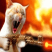 Кот-Headshot