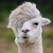 The Swedish Llama