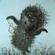LittleHedgehogInTheFog