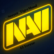 Secret_TigerMood