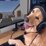 Hi Im Blind xD