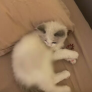 m1k