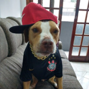 dog da fiel