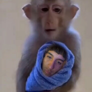 AlexBerryPicker