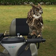 Hooter on Scooter