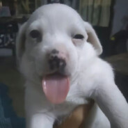 abiiiiii