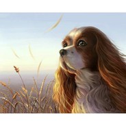 Steam profile picture for @spaniel