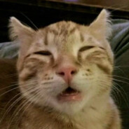 косточка1 ಠoಠ