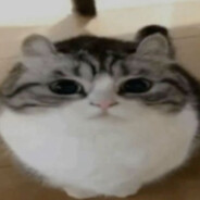 𝙇𝙤𝙣𝙠1