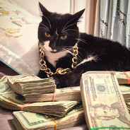 tortillacat