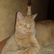 Unnamelda