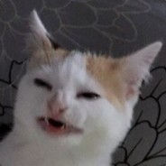 ⓲ⓁⒶ⓳