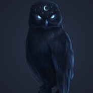 Mr.Owl