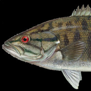 Smooth Mouth Bass