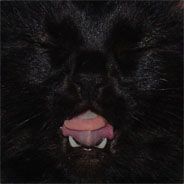 Steam profile picture for @gdc