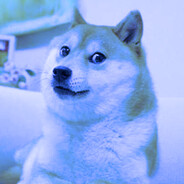 -Doge-