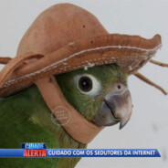 gustavo29araujo