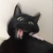 𝓼𝔃𝓽𝓸𝓼𝓲𝓴.