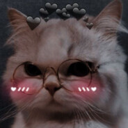 FangFang