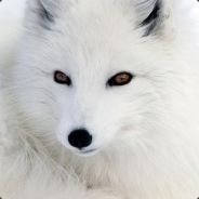 Road to [0] MMR