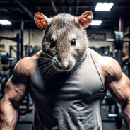 Ratito