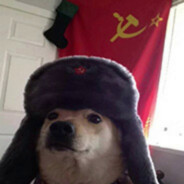 cachorro comunista desertor