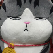 Cat Shtotishkin^