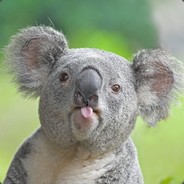 -69 IQ Nirveca