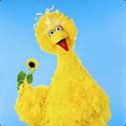 BigBirdY