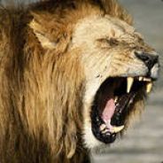 "Ghostly_Lion"