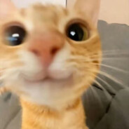 churaps