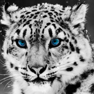 Lone_wolF