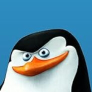 Skipper